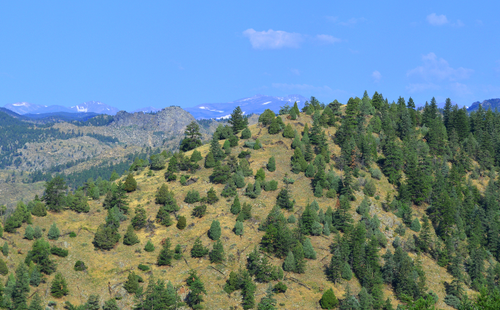 Golden Gate Canyon State Park: Hills and Mountains