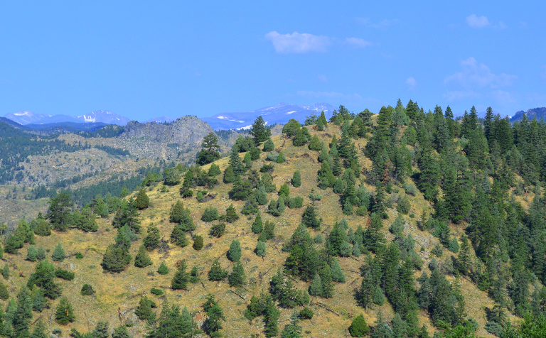 Golden Gate Canyon State Park: Hills and Mountains
