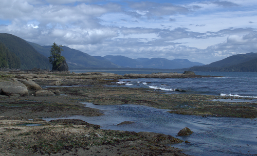 Vancouver Island: Thrasher Bay